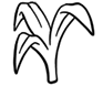 DHA d'origine naturelle