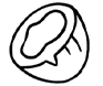 Huile de Noix de Coco